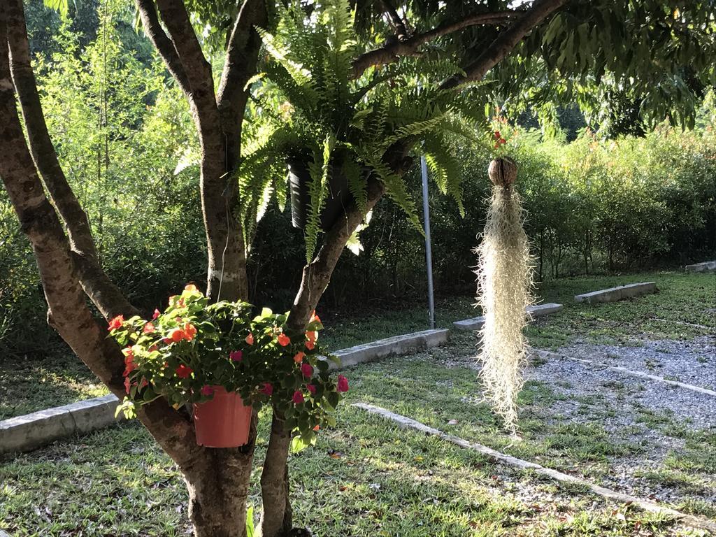 Jardin De Mangue Pakchong Hotel Exterior photo